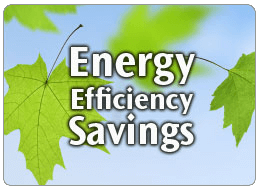 Efficiency Savings